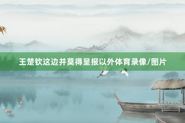 王楚钦这边并莫得呈报以外体育录像/图片