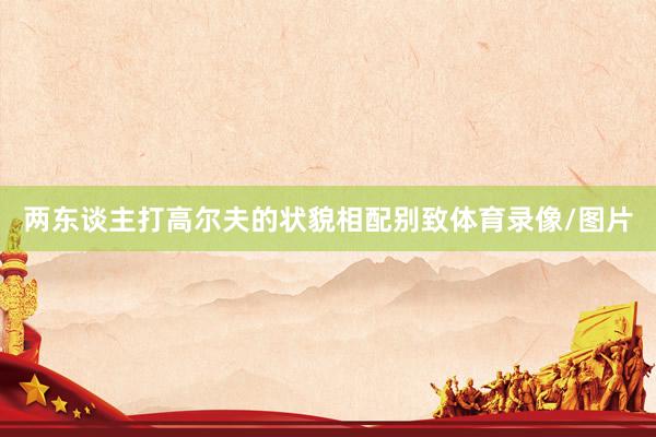 两东谈主打高尔夫的状貌相配别致体育录像/图片