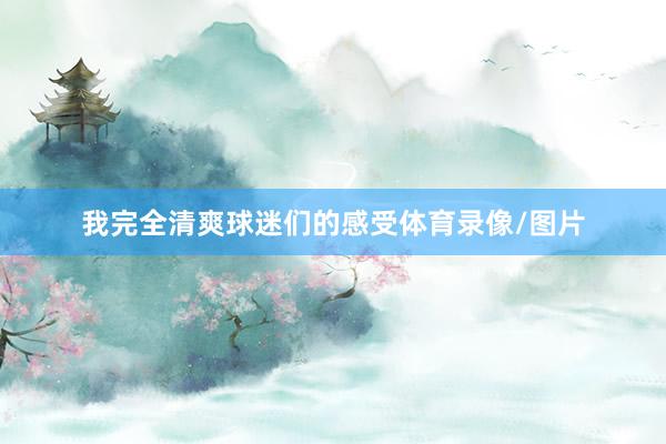 我完全清爽球迷们的感受体育录像/图片