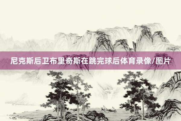 尼克斯后卫布里奇斯在跳完球后体育录像/图片