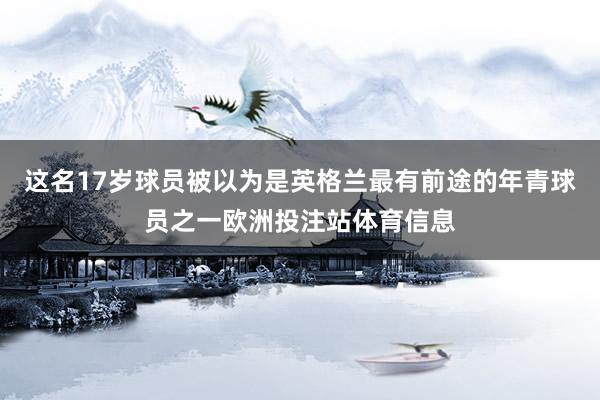 这名17岁球员被以为是英格兰最有前途的年青球员之一欧洲投注站体育信息