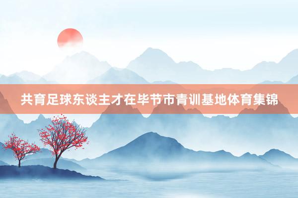 共育足球东谈主才在毕节市青训基地体育集锦