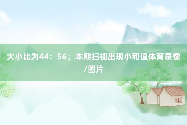 大小比为44：56；本期扫视出现小和值体育录像/图片