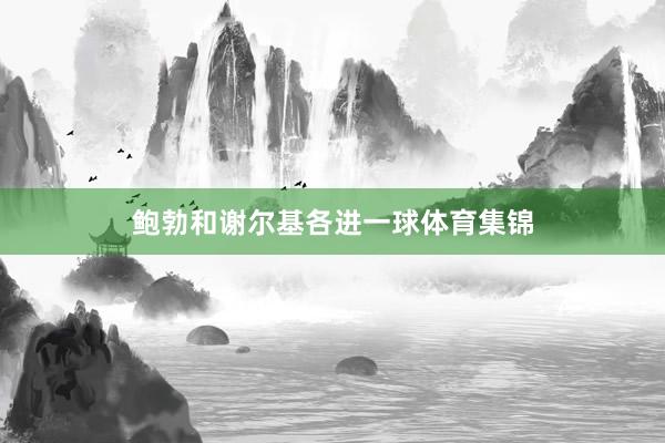 鲍勃和谢尔基各进一球体育集锦