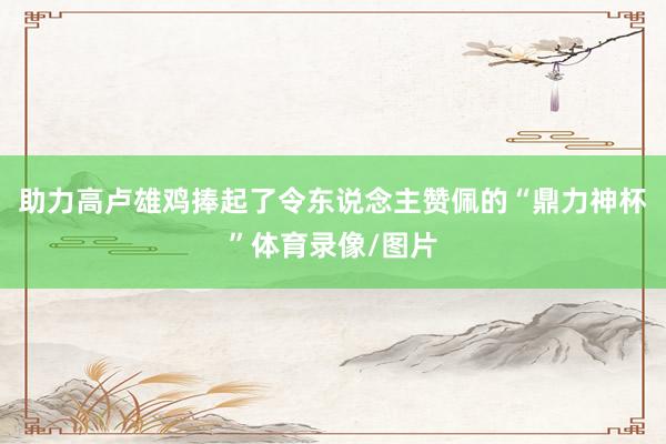 助力高卢雄鸡捧起了令东说念主赞佩的“鼎力神杯”体育录像/图片