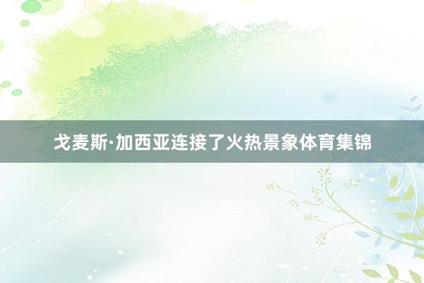戈麦斯·加西亚连接了火热景象体育集锦