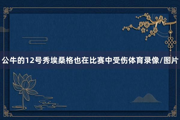 公牛的12号秀埃桑格也在比赛中受伤体育录像/图片