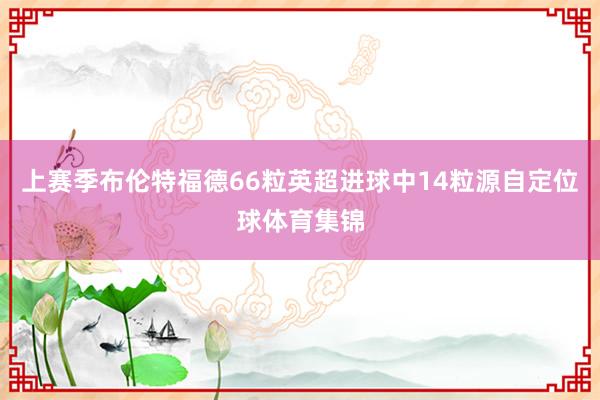 上赛季布伦特福德66粒英超进球中14粒源自定位球体育集锦