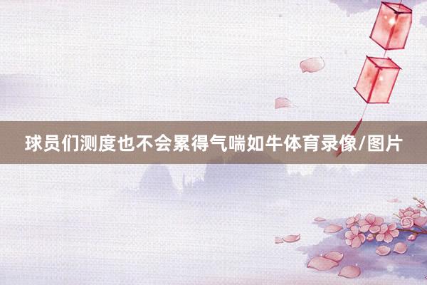 球员们测度也不会累得气喘如牛体育录像/图片