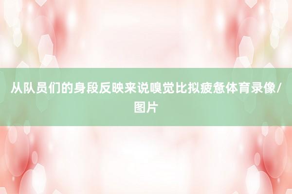 从队员们的身段反映来说嗅觉比拟疲惫体育录像/图片