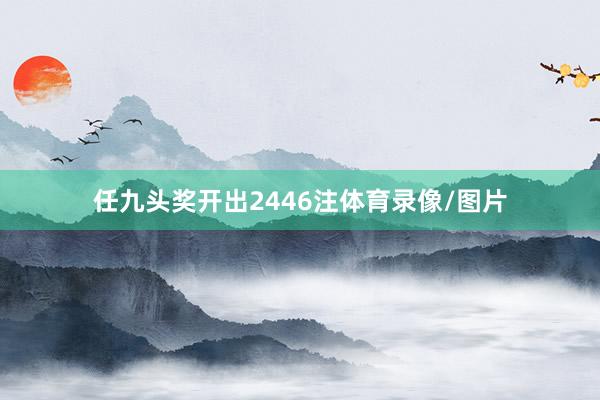 任九头奖开出2446注体育录像/图片