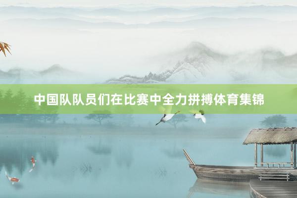 中国队队员们在比赛中全力拼搏体育集锦