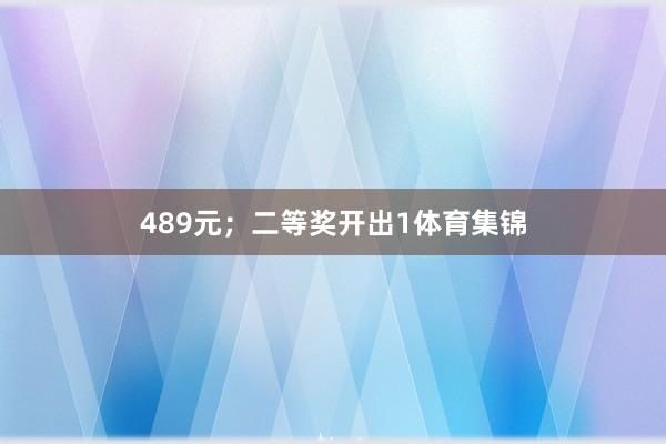 489元；二等奖开出1体育集锦