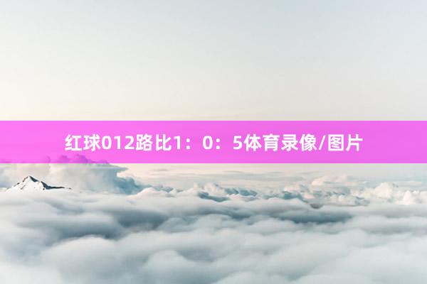 红球012路比1：0：5体育录像/图片