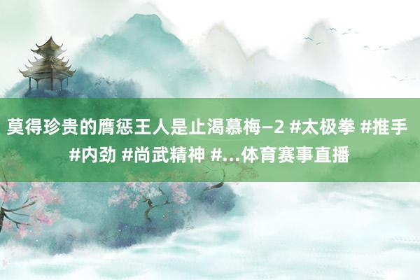 莫得珍贵的膺惩王人是止渴慕梅—2 #太极拳 #推手 #内劲 #尚武精神 #...体育赛事直播