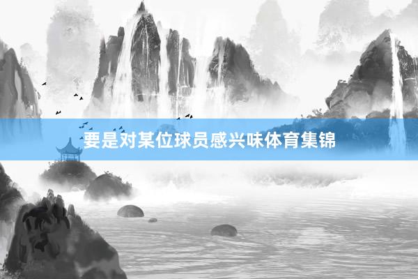 要是对某位球员感兴味体育集锦