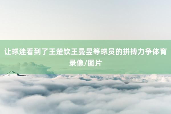 让球迷看到了王楚钦王曼昱等球员的拼搏力争体育录像/图片