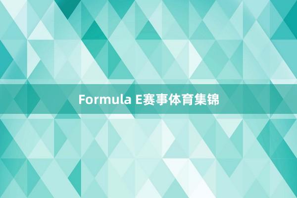 Formula E赛事体育集锦