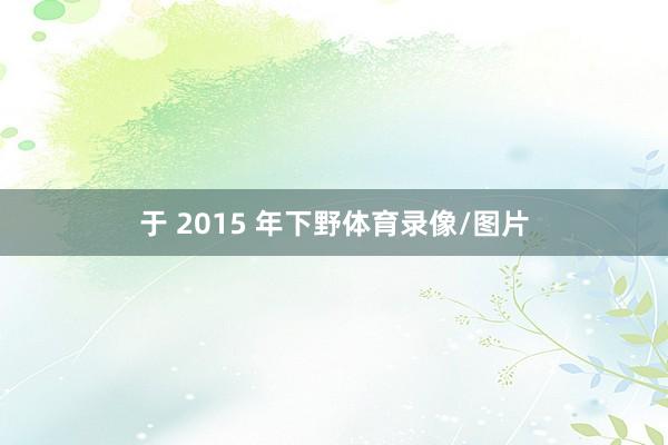 于 2015 年下野体育录像/图片