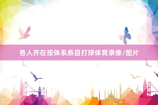 各人齐在按体系条目打球体育录像/图片