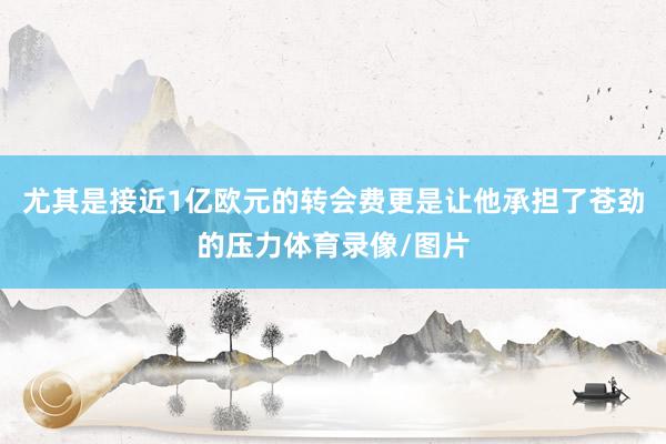 尤其是接近1亿欧元的转会费更是让他承担了苍劲的压力体育录像/图片