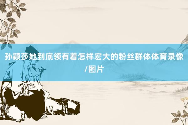 孙颖莎她到底领有着怎样宏大的粉丝群体体育录像/图片