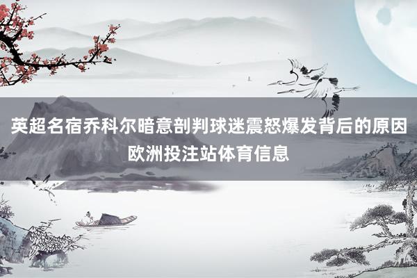 英超名宿乔科尔暗意剖判球迷震怒爆发背后的原因欧洲投注站体育信息