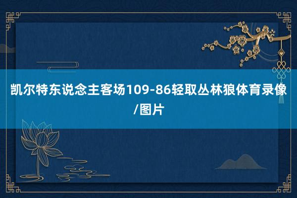 凯尔特东说念主客场109-86轻取丛林狼体育录像/图片