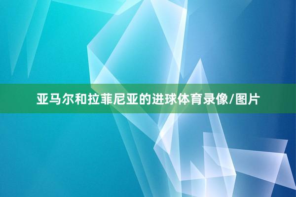 亚马尔和拉菲尼亚的进球体育录像/图片