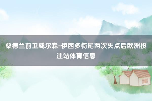 桑德兰前卫威尔森-伊西多衔尾两次失点后欧洲投注站体育信息