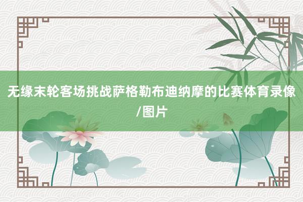 无缘末轮客场挑战萨格勒布迪纳摩的比赛体育录像/图片