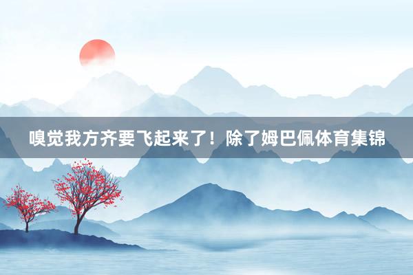 嗅觉我方齐要飞起来了！除了姆巴佩体育集锦