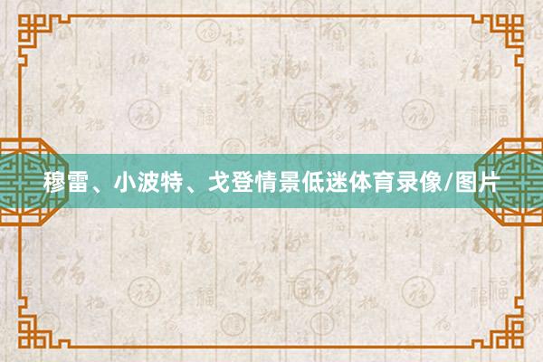穆雷、小波特、戈登情景低迷体育录像/图片