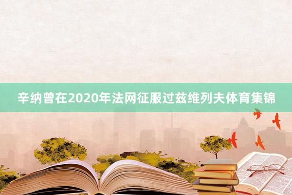 辛纳曾在2020年法网征服过兹维列夫体育集锦