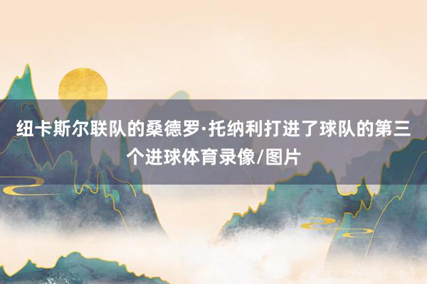 纽卡斯尔联队的桑德罗·托纳利打进了球队的第三个进球体育录像/图片