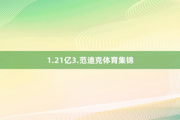 1.21亿3.范迪克体育集锦
