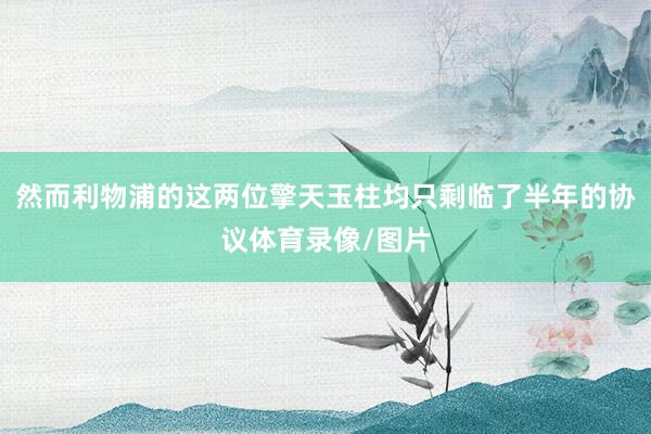 然而利物浦的这两位擎天玉柱均只剩临了半年的协议体育录像/图片