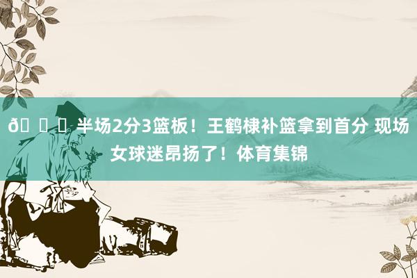 😍半场2分3篮板！王鹤棣补篮拿到首分 现场女球迷昂扬了！体育集锦