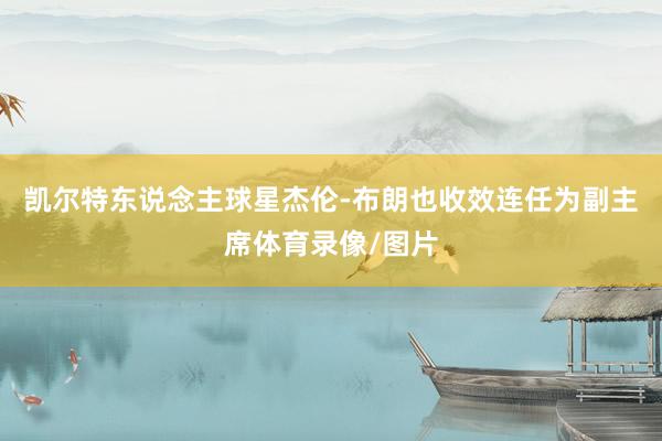 凯尔特东说念主球星杰伦-布朗也收效连任为副主席体育录像/图片