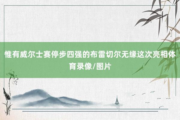 惟有威尔士赛停步四强的布雷切尔无缘这次亮相体育录像/图片