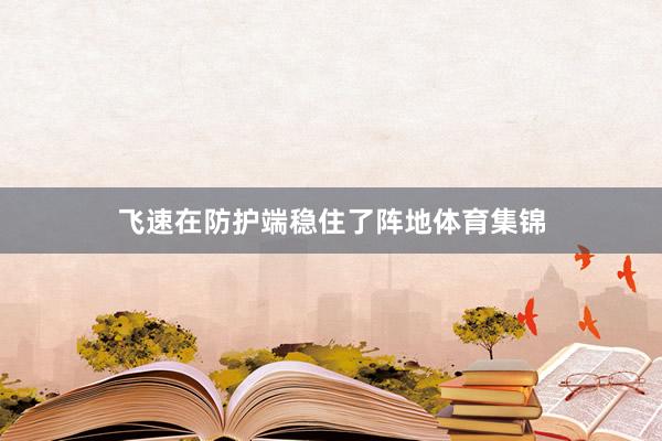 飞速在防护端稳住了阵地体育集锦