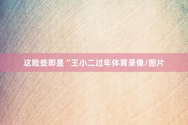 这险些即是“王小二过年体育录像/图片