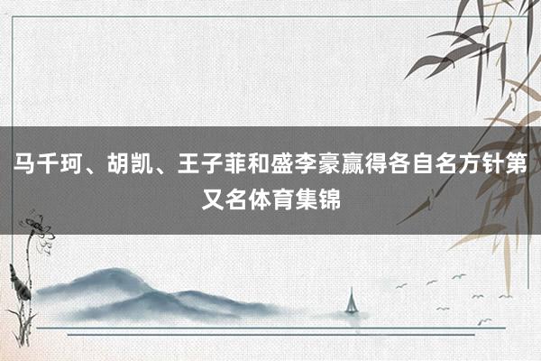 马千珂、胡凯、王子菲和盛李豪赢得各自名方针第又名体育集锦